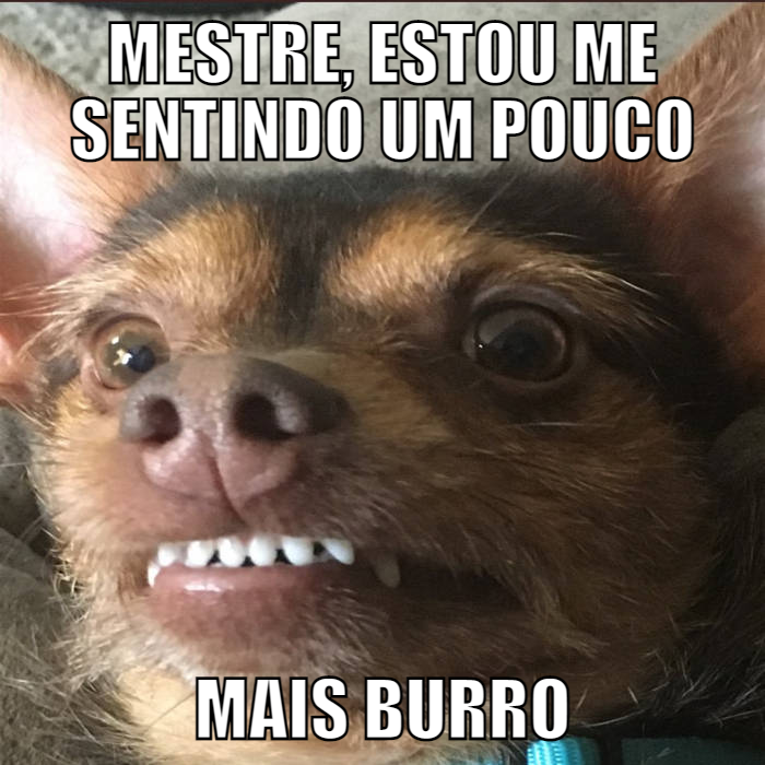 Envia para um burro! #viral #fyp #parati #foryou #humor #burrito #burr