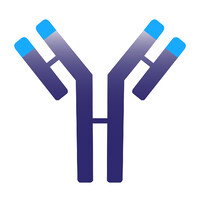 Immunovant Inc